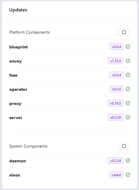 A screenshot of the Home Cloud updates page showing a list of Platform and System Components, their current versions, and some showing available updates.