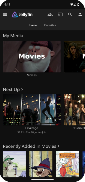 A screenshot of the Jellyfin mobile app